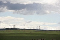 This is a large wind farm in northern Colorado.  I love the sounds of those giant blades turning, but they frighten my wife.