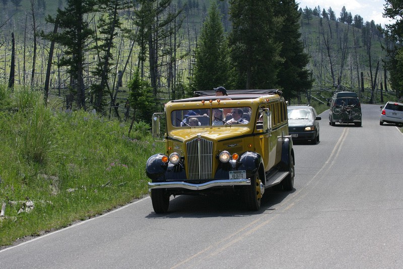 Here is one of those White touring busses.  There were also some in use at Glacier N.P.  They are looking at the bears.  By now there are probably 50 people along the side of the road.
