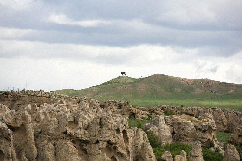 The buffalo on the hilltop is just a cutout - there is a cowboy further up I-25 in Wyoming