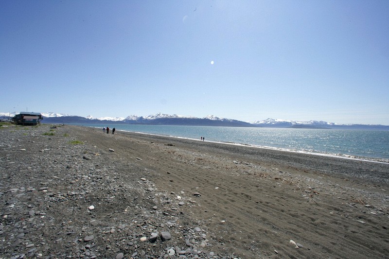 The shore of the Homer Spit