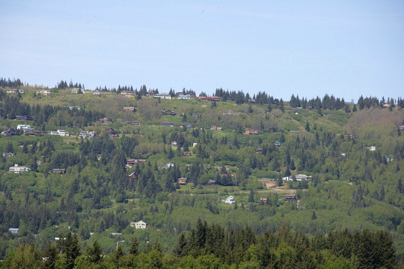 The homes of Homer were spread along the hill overlooking Kachemak Bay