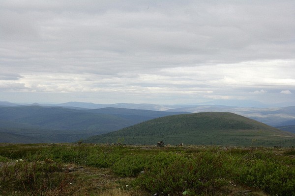 The Yukon side of theTop of the World Highway