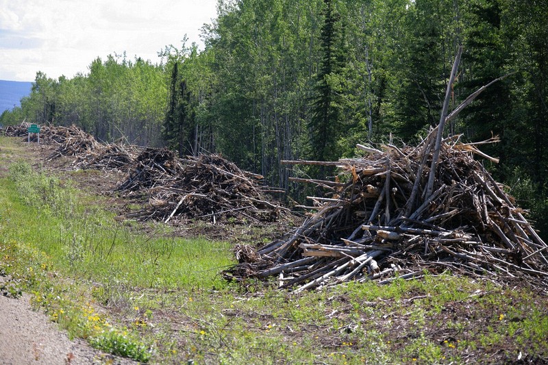 This is along the Klondike Highway to Whitehorse. Some construction and they are clearing the trees and brush on both sides.  I was told this was to make it easier to see wildlife that might be crossing the road.