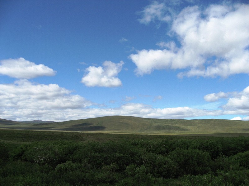 Along the Dempster Highway