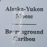 Teslin, Yukon