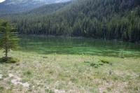 This mossy pond had lots of shades of green, the photo doesn't do it justice.