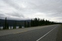 It was overcast and cool as I traveled to Whitehorse