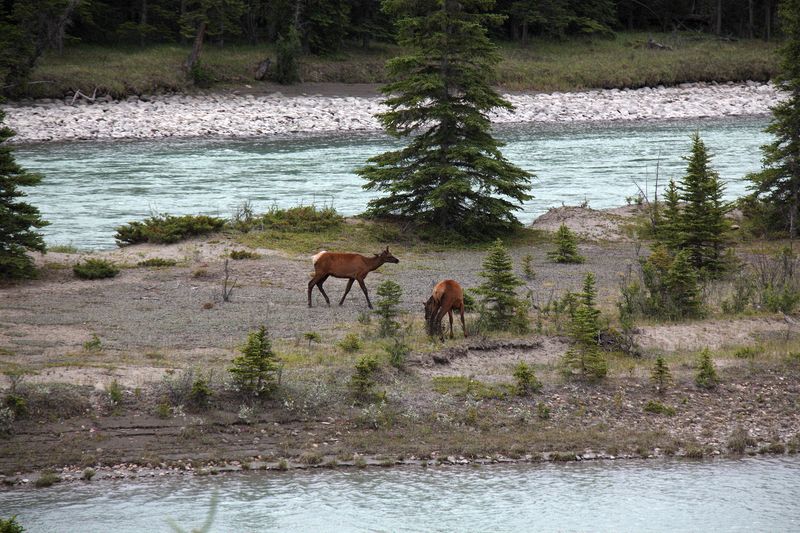 Youngsters along the roadway just outside of Jasper