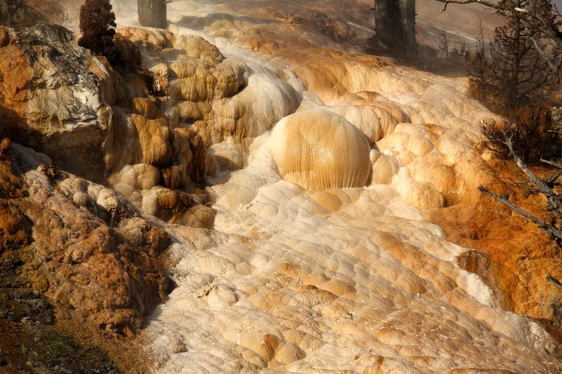 At Mammoth Hot Springs at the north end of Yellowstone National Park.